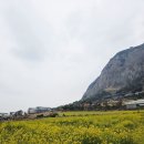 지오아라 | 사계산방산전통찻집카페 지오아라 대추차 맛있어요!