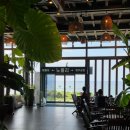 제주느낌 | [제주애월카페] 애월해안도로가 보이는 식물원 느낌의 제주 노을리카페 내돈내산 후기