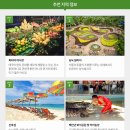 파타야힐링