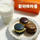 아이로운 태권도 | 로우슈가 [윗미마카롱]으로 아이들 간식 챙겨준 후기:)