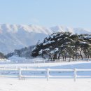 솔밭목장 이미지