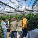 해피그린농장 이미지