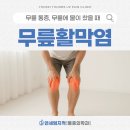 금호정형외과 무릎 통증, 무릎활막염 체외충격파 | 금호동 연세엄지척마취통증의학과