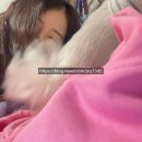이솜(E SOM) | 강남역 미용실 : 차홍룸 강남대로점, 젤리펌 후기 (by 이솜 디자이너)