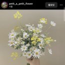 쁘띠따쁘띠플라워