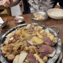 동동보감 | 📍 광주 곱창맛집 ‘곱당’ 방문 후기