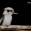 쉴만한물가요양원
