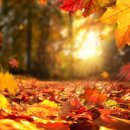 음악이야기/Nat King Cole - Autumn Leaves 이미지