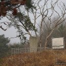 동산리마애여래상 이미지