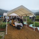 버들정원 | 홍천의 비밀 정원, '서울의 정원'에서 보낸 400평의 여유 (가든파티/정원피크닉 체험 후기)