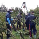 창민농장 이미지