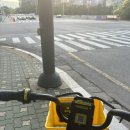 계란집정자