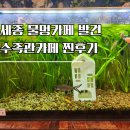테트라수족관 | 세종 보타닉아쿠아카페, 물멍 가능한 이색 수족관 카페 후기 : 세종 아이와 가볼만한곳