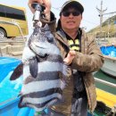 철수목장 이미지