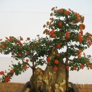 바람고갯길 이미지