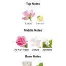 뷰티 몽 이미지