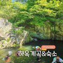 조은숲 | 포항 하옥계곡 물놀이 명소 물조은펜션 평상대여 취사 가능