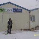 남선농장 이미지