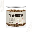 건강앤건강