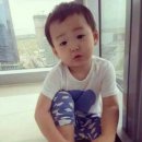 조개섬 이미지