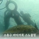 파란바다약국 | 10월 소류구 스노쿨링 현지 업체 추천 (대중부잠 아닌 다른곳, 당일 예약)
