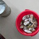 UR(당진시)-[남부로]-상-7 | 박승광해물칼국수 당진점 – 당진 해물칼국수먹으러갔다 석화찜에 빠짐 (석화찜 + 해물칼국수 2인)