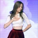 진솔 스타뉴스
