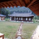 김동수농장 이미지