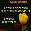 개팔자 상팔자 이미지