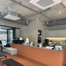 프리레인 강남 | 강남구청역 스콘 맛집 카페 추천