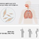 오율의원마곡 이미지