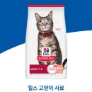 반려하다 | 6년 차 집사의 사료 탐구기 힐스 연어&amp;현미 신제품을 만난 날