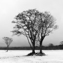 새싹목장 이미지