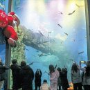 다누리센터 아쿠아리움 이미지