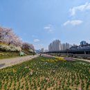 충훈공원 옆 이미지