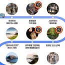 (주)칸마루 | [공지] 멜버른 여행. 퍼핑빌리 기차🚂. 마루 코알라 앤드 애니멀 동물원. 야생왈라비. South point. 필립...