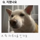 스테이해봄 | 26년 2월 일상 _ MY WHOLE WORLD