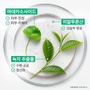 그린티