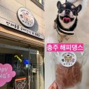 해피댕스 이미지