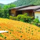 산과수원민박 이미지