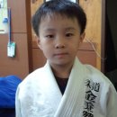 용인대유도교실 이미지