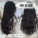 멍뭉이 살롱 | 대전 갈마동 : 보나살롱 디자이너 1:1 시술 미용실