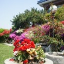 정가네 민박 이미지