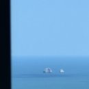 디캠 고흥 이미지