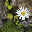 옥성자연휴양림 이미지