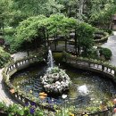 허브내음 이미지