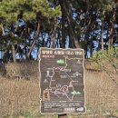 출렁다리 진입로 | 논산 가볼만한곳 탑정호 출렁다리 벚꽃 나들이 현황 3월28일기준