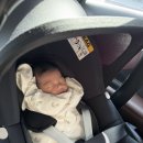 육아용품 대여 - 아기와나 쌍둥이 신생아카시트 대여 후기