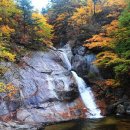 제121회 10월정기산행 (평창) 동대산 오대산 선재길 이미지