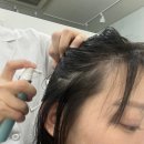 다정동_리치타워앞 | 안양두피관리전문점 리치스칼프에서 두피스켈링이랑헤드스파후기+